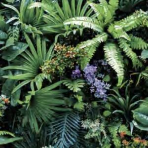 Papel de Parede Verde Floral -IF-001152