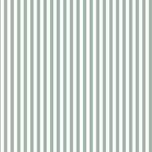 Papel de Parede Infantil Listra Verde Escuro - MD-0708